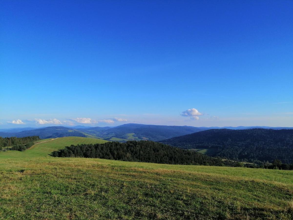 Villa Rzepedka Rzepedz Esterno foto