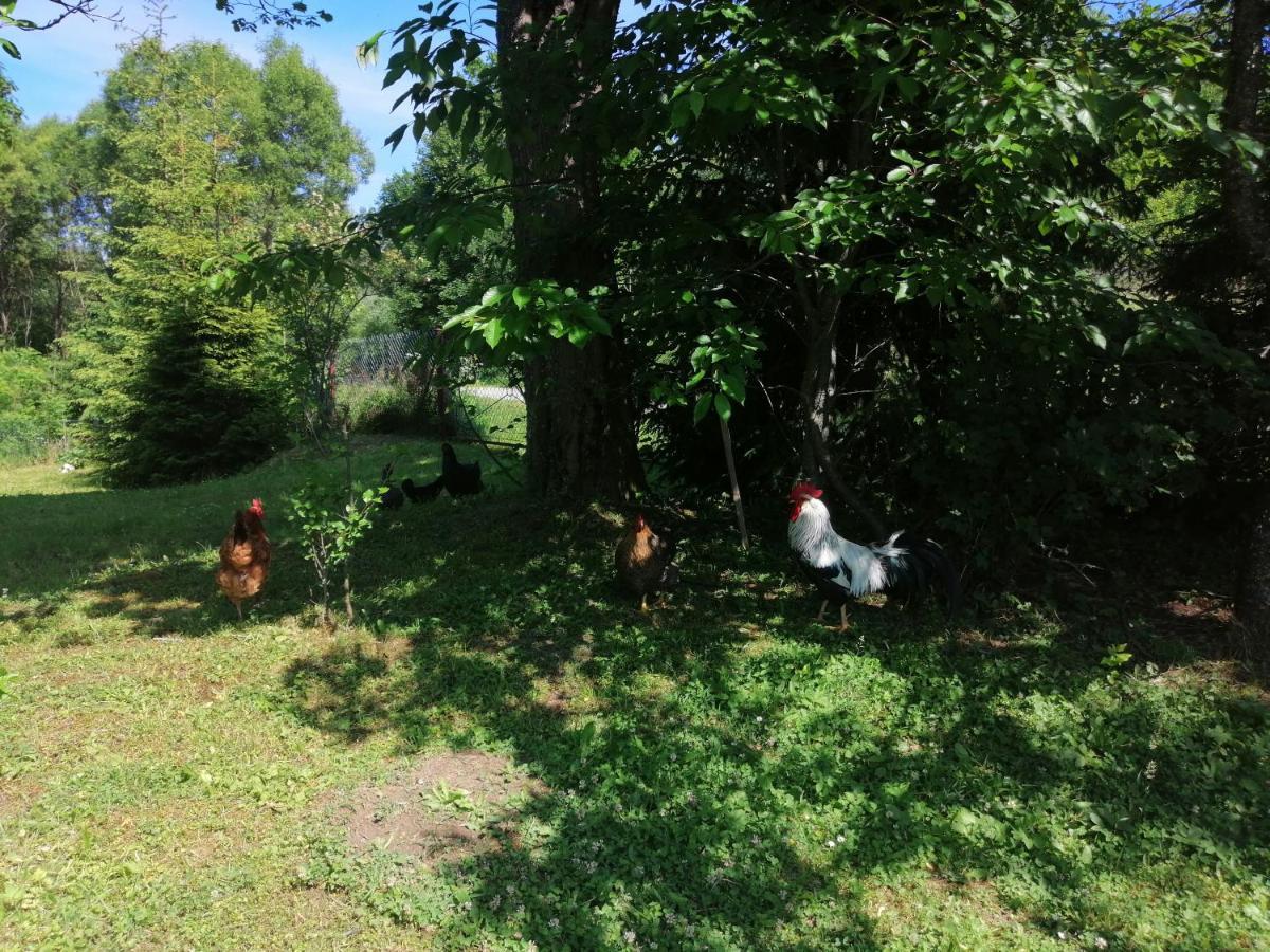 Villa Rzepedka Rzepedz Esterno foto