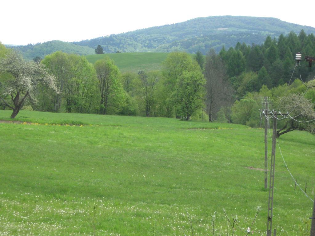 Villa Rzepedka Rzepedz Esterno foto