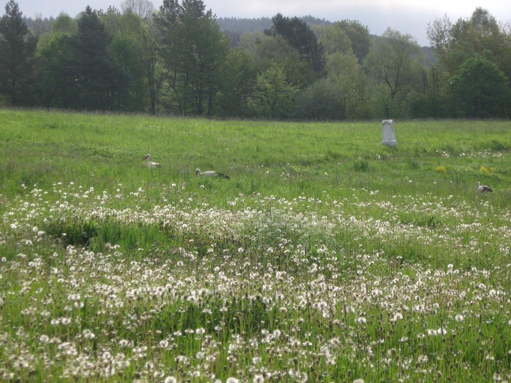 Villa Rzepedka Rzepedz Esterno foto