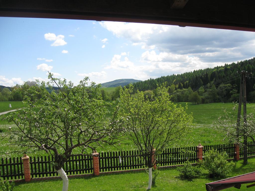 Villa Rzepedka Rzepedz Esterno foto