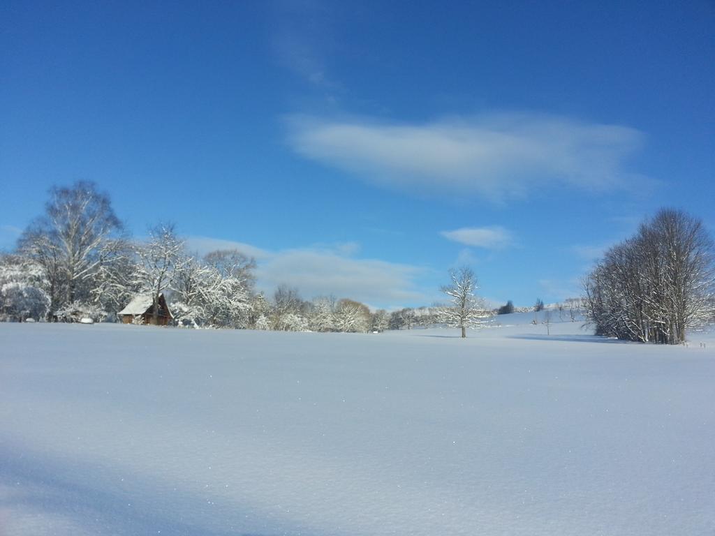 Villa Rzepedka Rzepedz Esterno foto